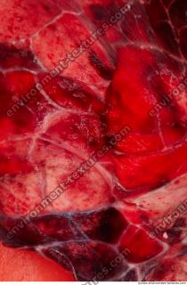 RAW meat pork 0244